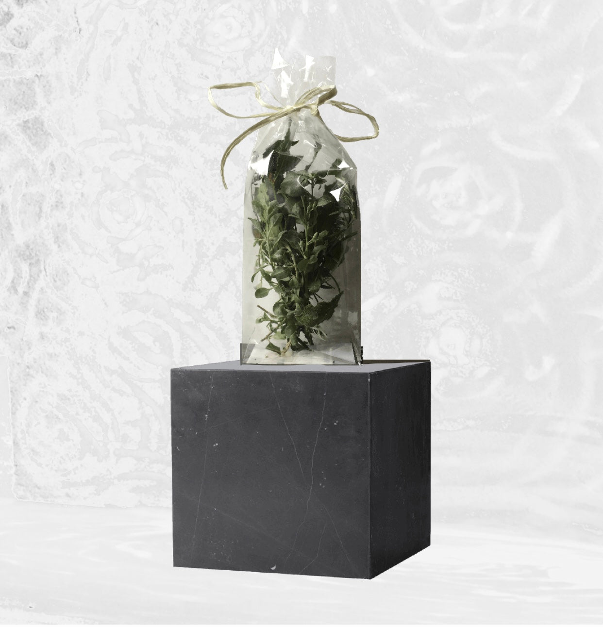 Erbe Aromatiche Igor Sonia Eliantus