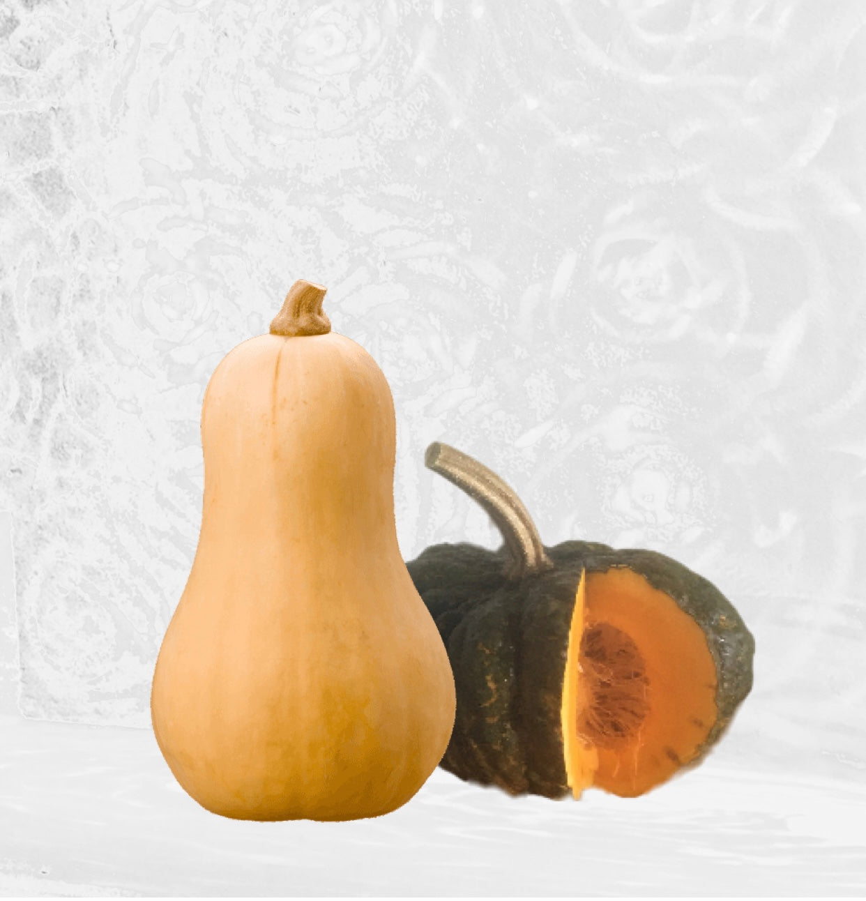 ZUCCA Igor Sonia Eliantus Agrispazio
