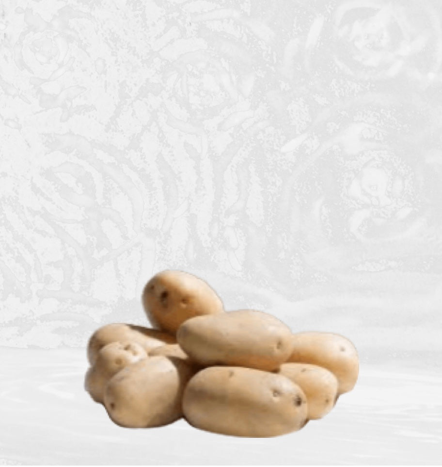 Patate Igor Sonia Eliantus